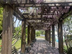 -上海鲜花港
