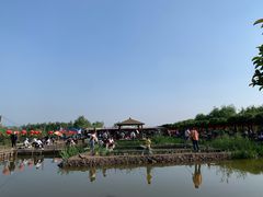 -同銮特种养殖场·龙虾垂钓