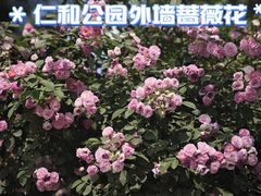 -仁和公园(顺义区)