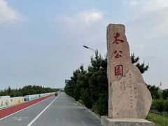 -日照海滨国家森林公园