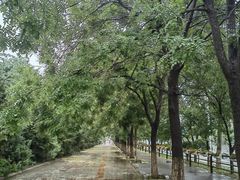 -北陵公园