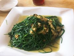 沙葱炒鸡蛋-敦煌达记酱驴肉黄面馆