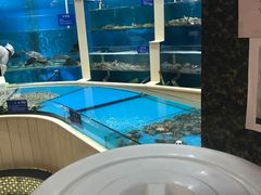 -福泉海码头(六里山店)