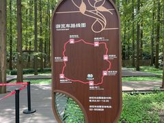 -东平国家森林公园