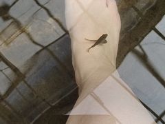 -龙达温泉生态城