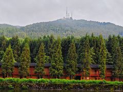 -武陵山森林公园