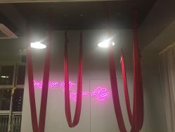 -桃秘钢管舞Peach Pole Fitness