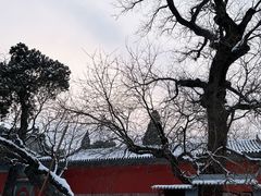 -闻道食府烙饼卷带鱼(原车耳营店原大觉寺店)