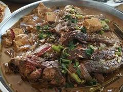 -庆岭迎宾园正宗活鱼馆