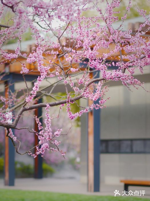 静安雕塑公园图片