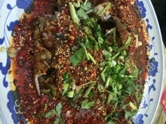 风鑫铃罗非鱼-风鑫铃罗非鱼(道沟店)