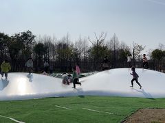 -上海长兴岛郊野公园