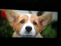 -金逸影城(哥伦布店)