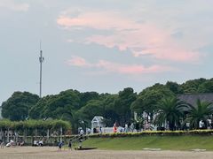 -碧海金沙