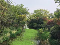 -桃花岛景观公园