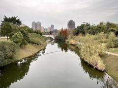 -眉山湿地公园(东坡区)