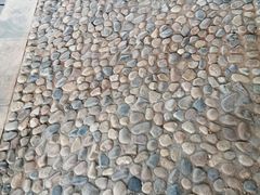 -五缘湾湿地公园