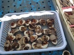 -南沙十九涌渔人码头-南门