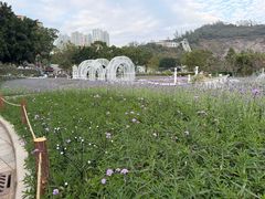 -龙环葡韵住宅式博物馆