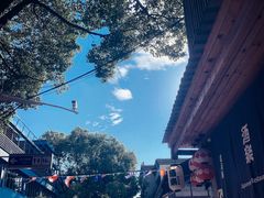 -Shanghai Brew House上海啤酒工坊(老外街店)