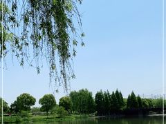 -九里河湿地公园