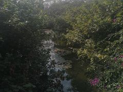 -白沙门生态公园