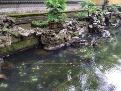 -望湘园·小雅(德基店)