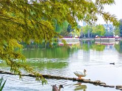 -浙江农林大学(东湖校区)