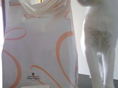 -西点坊(浦东香格里拉店)