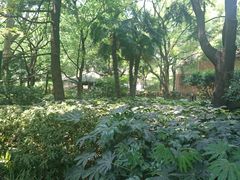 -华山儿童公园