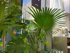 -农畉LONFOOD(福田星河COCOPark店)