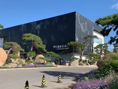 -罗红摄影艺术馆