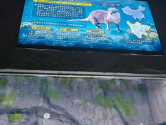 -海合安成都极地海洋公园