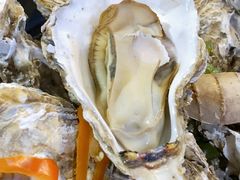 高压锅生蚝中一打-千岛蚝高压锅生蚝·人参火锅(白云万达店)