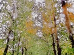 -北京美神宫艺术主题温泉酒店