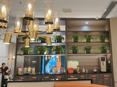 -刘胖子家常菜·蹄花焖藕(中南店)