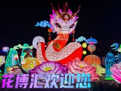-花博汇(知音花月夜)