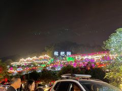 -枇杷园食为鲜火锅(南山店)