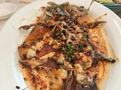 -新兴家喻酒家·羊城名宴(昌岗店)