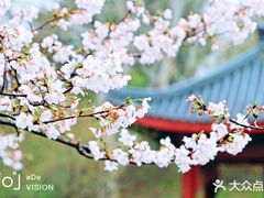 -堤角公园