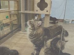 -牛喵喵铜锅牛肉馆