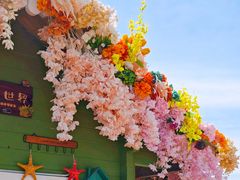 -荷兰花海