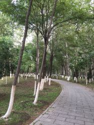 -汉石桥湿地童趣乐园