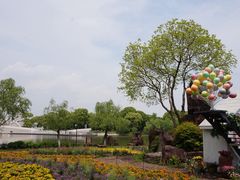 -上海鲜花港