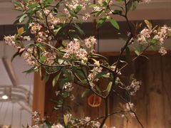 -懒鱼时光馆(沙坪坝店)