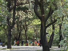 -长春市南湖公园