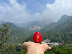 -泰山风景名胜区