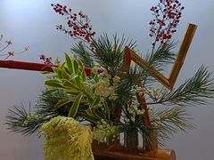-云溪植物园