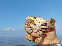 -北海银滩一号国际会议中心酒店