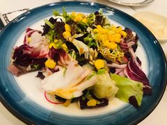 蔬菜沙拉-肆月河豚·新淮扬(金融街店)